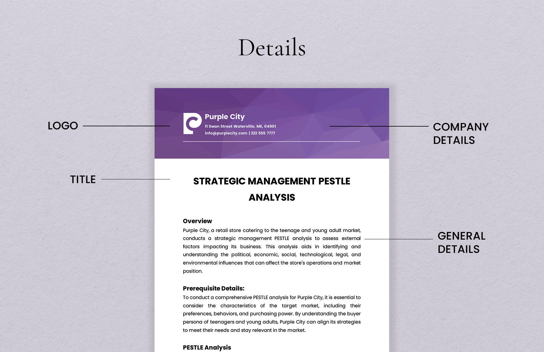 Strategic Management PESTLE Analysis Template