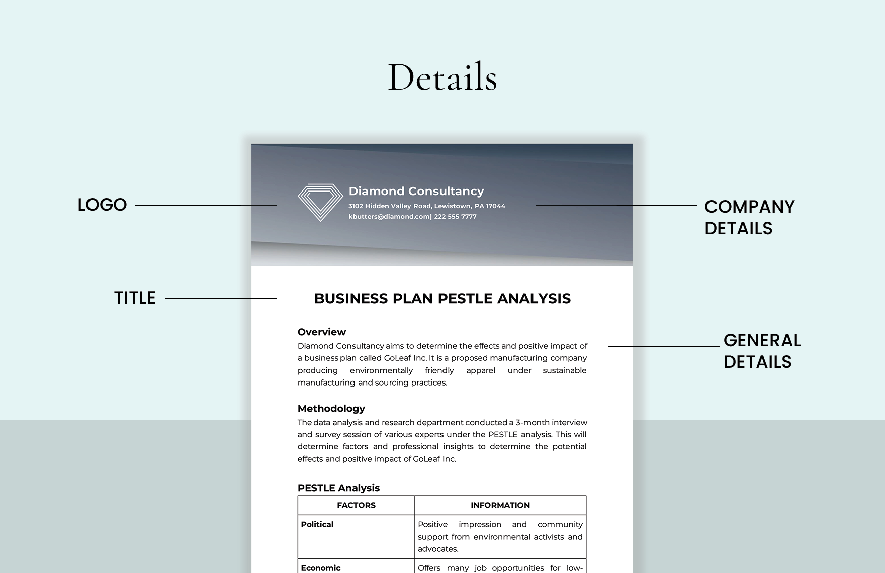 Business Plan PESTLE Analysis Template