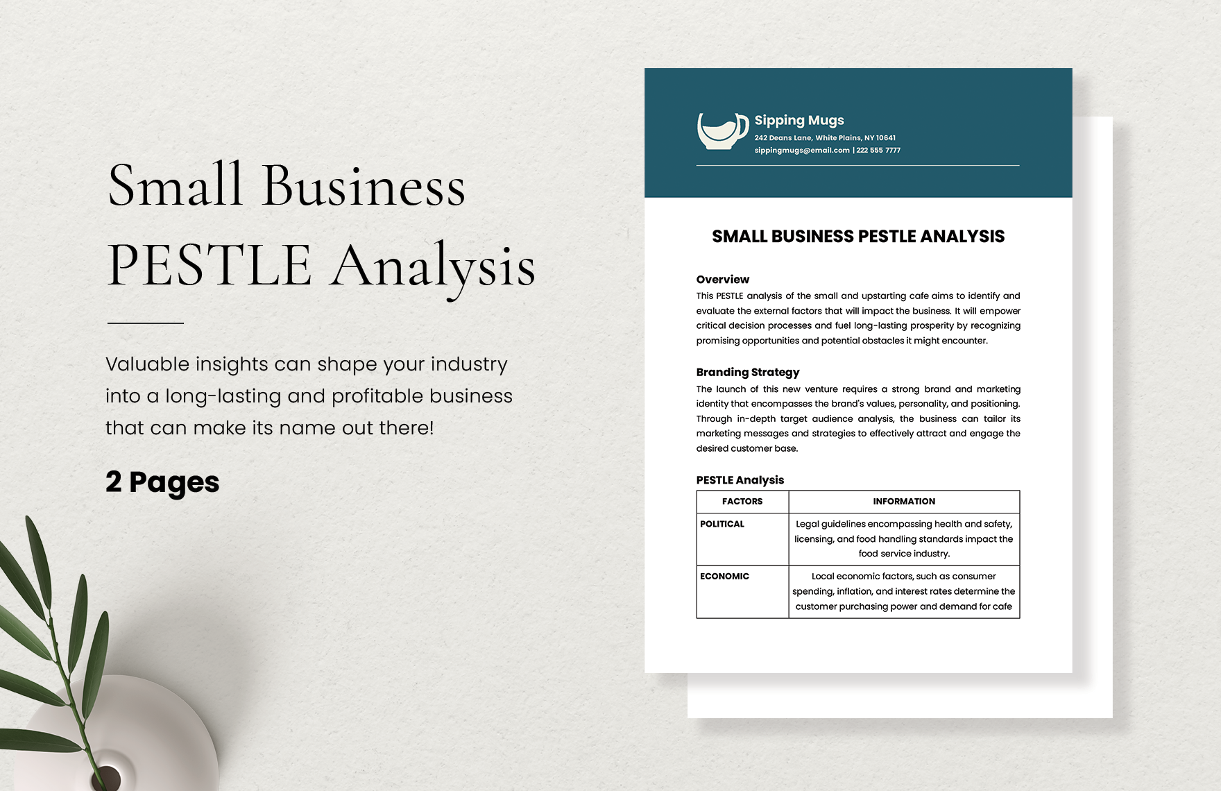 Small Business PESTLE Analysis Template