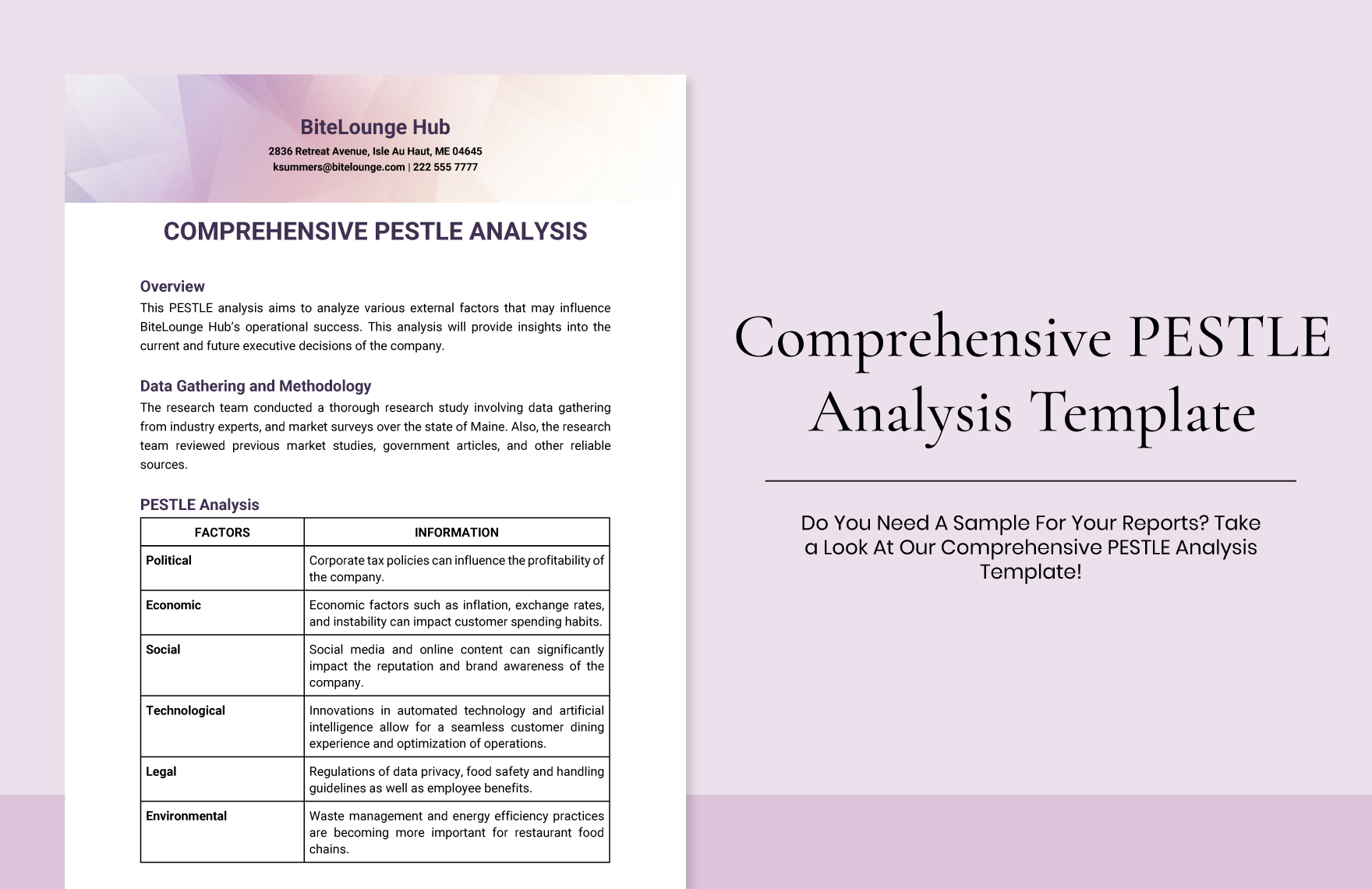Comprehensive PESTLE Analysis Template