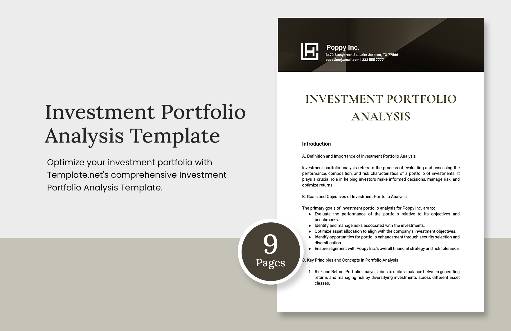 Investment Portfolio Analysis Template in Word, Google Docs