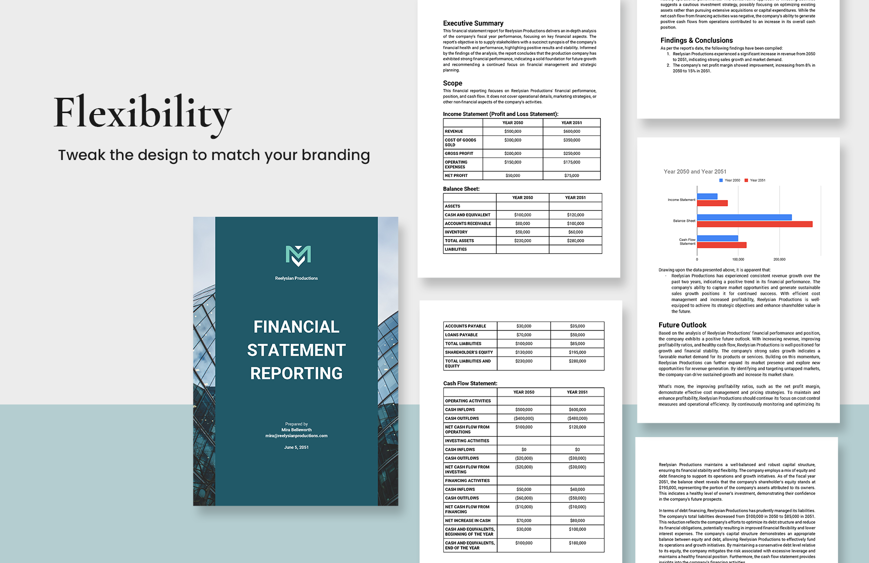 Financial Statement Reporting Template
