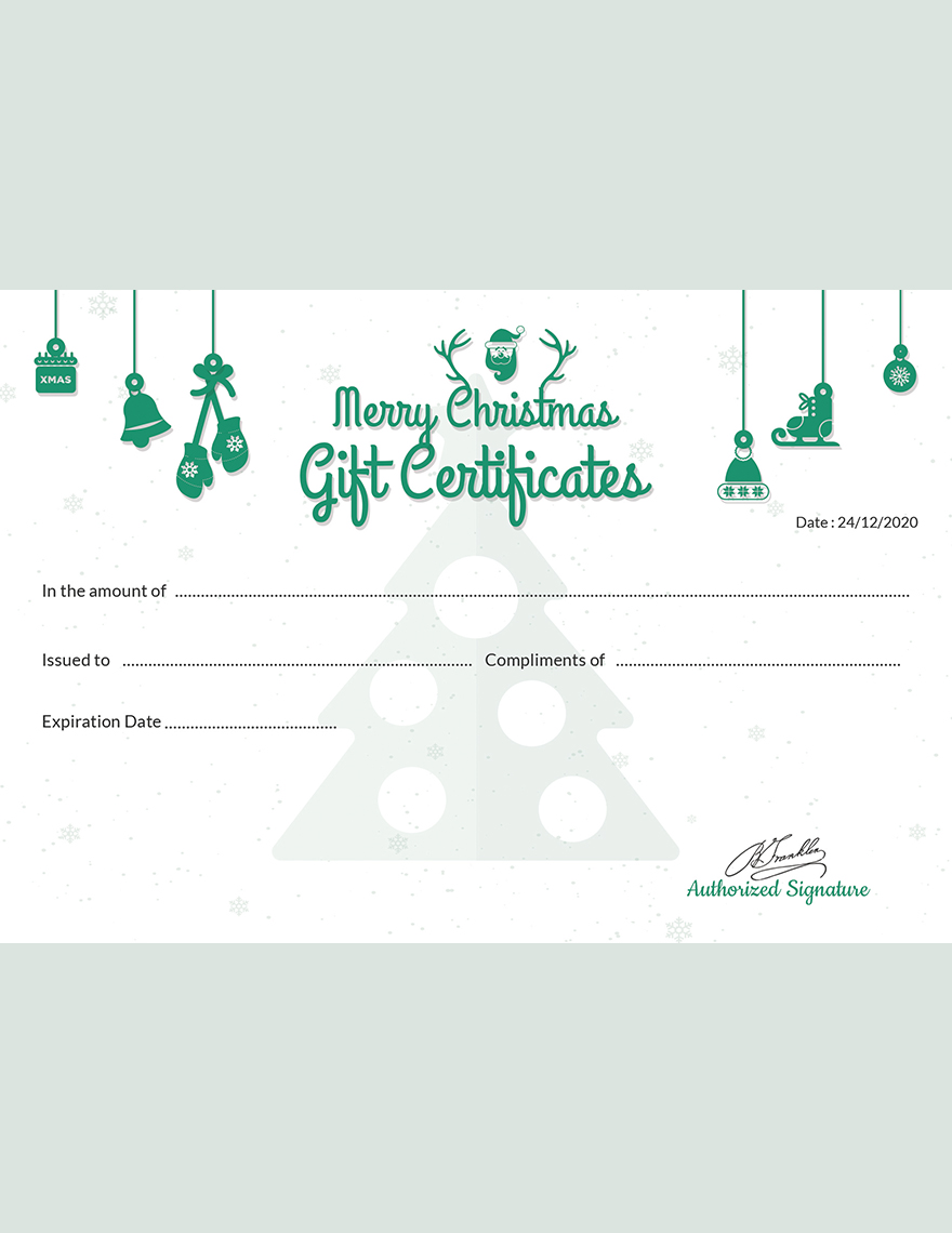 Christmas Fun Gift Certificate Template