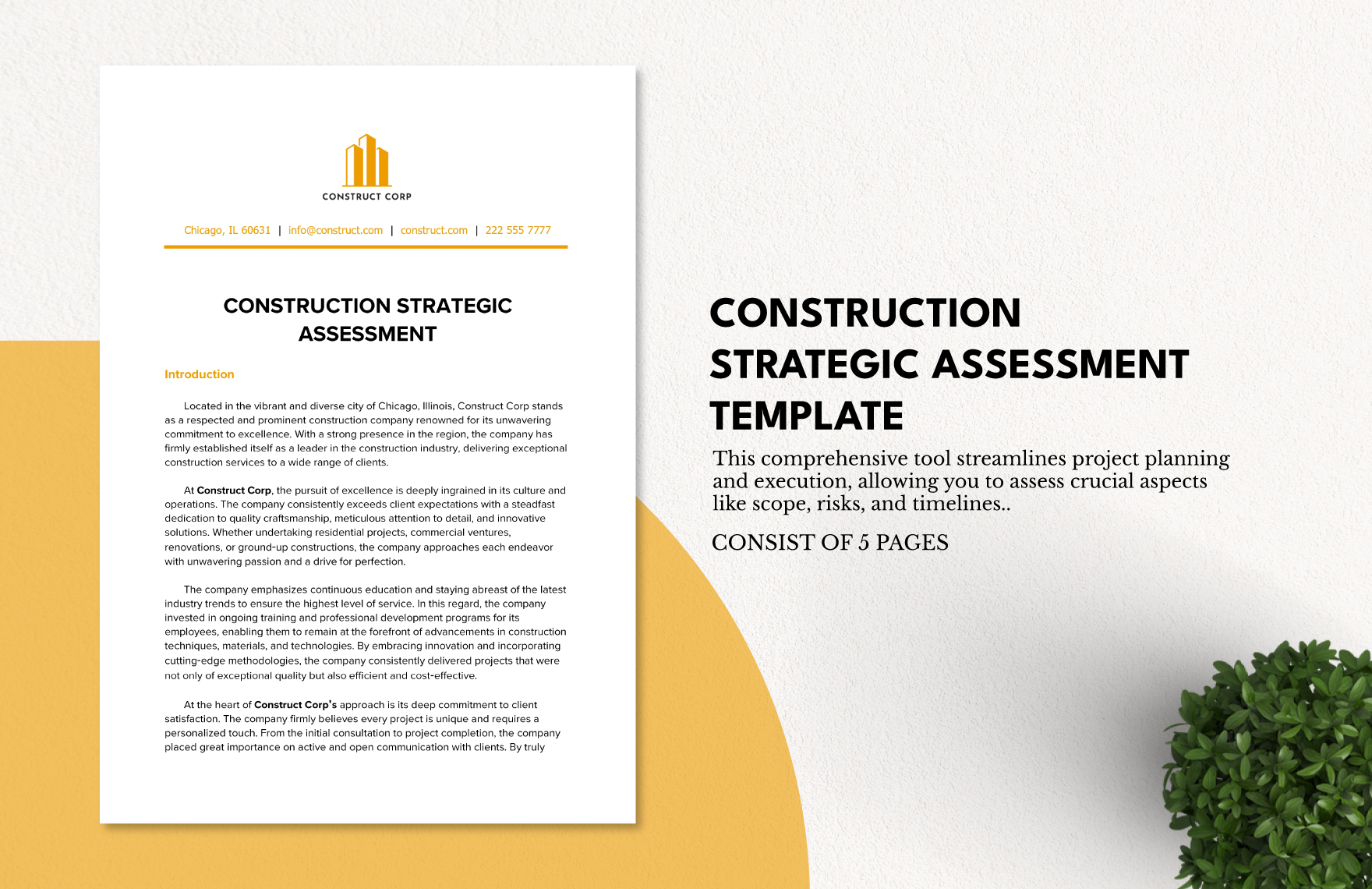 Construction Strategic Assessment Template