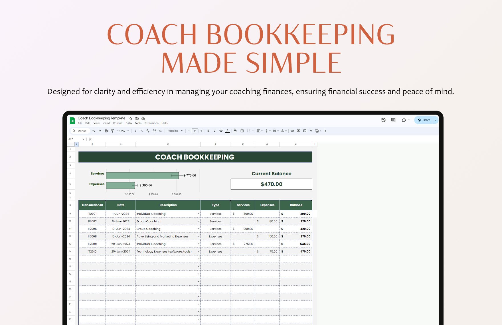 Coach Bookkeeping Template