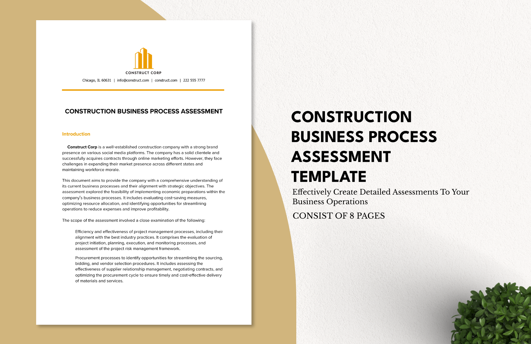 Construction Business Process Assessment Template in Word, Google Docs