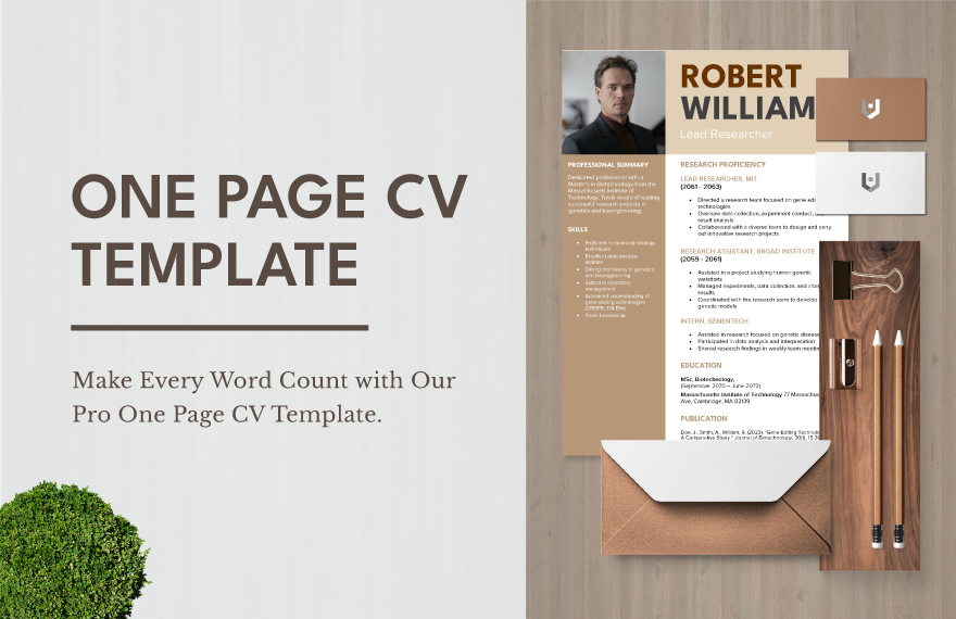One Page CV Template 