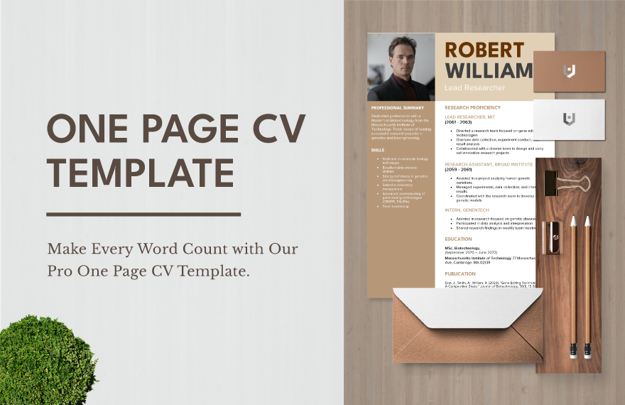 One Page CV Template