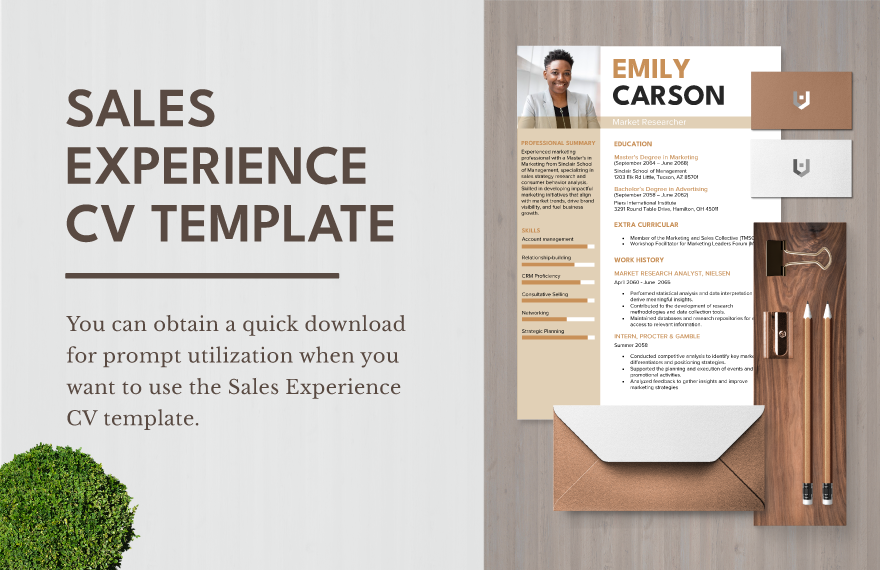 Sales Experience CV Template 