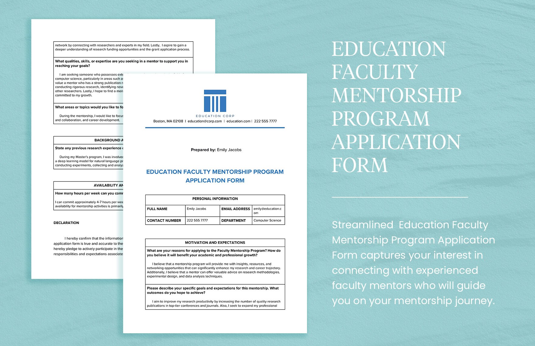 Education Faculty Mentorship Program Application Form