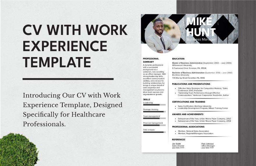 CV with Work Experience Template 