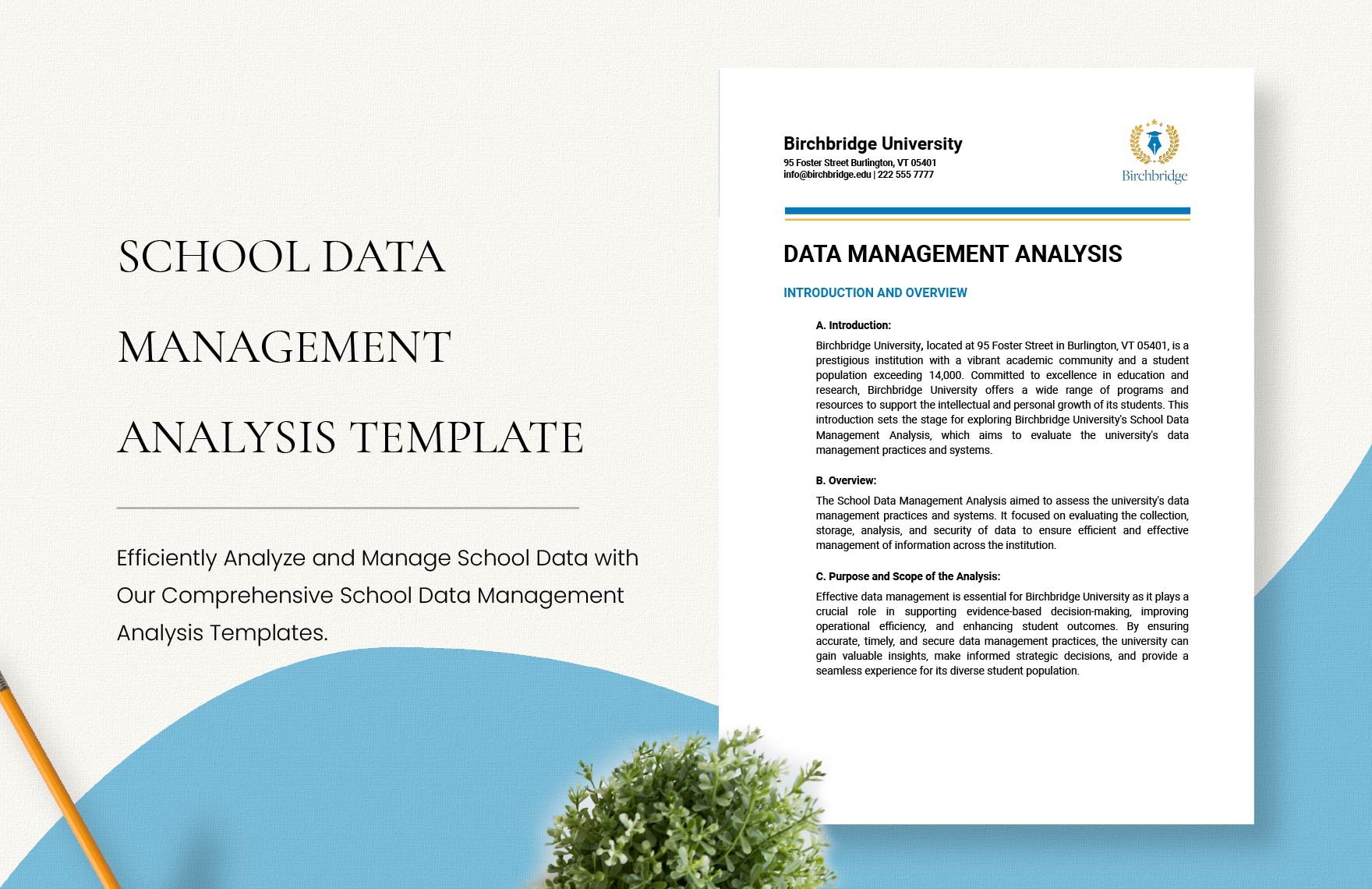 School Data Management Analysis Template
