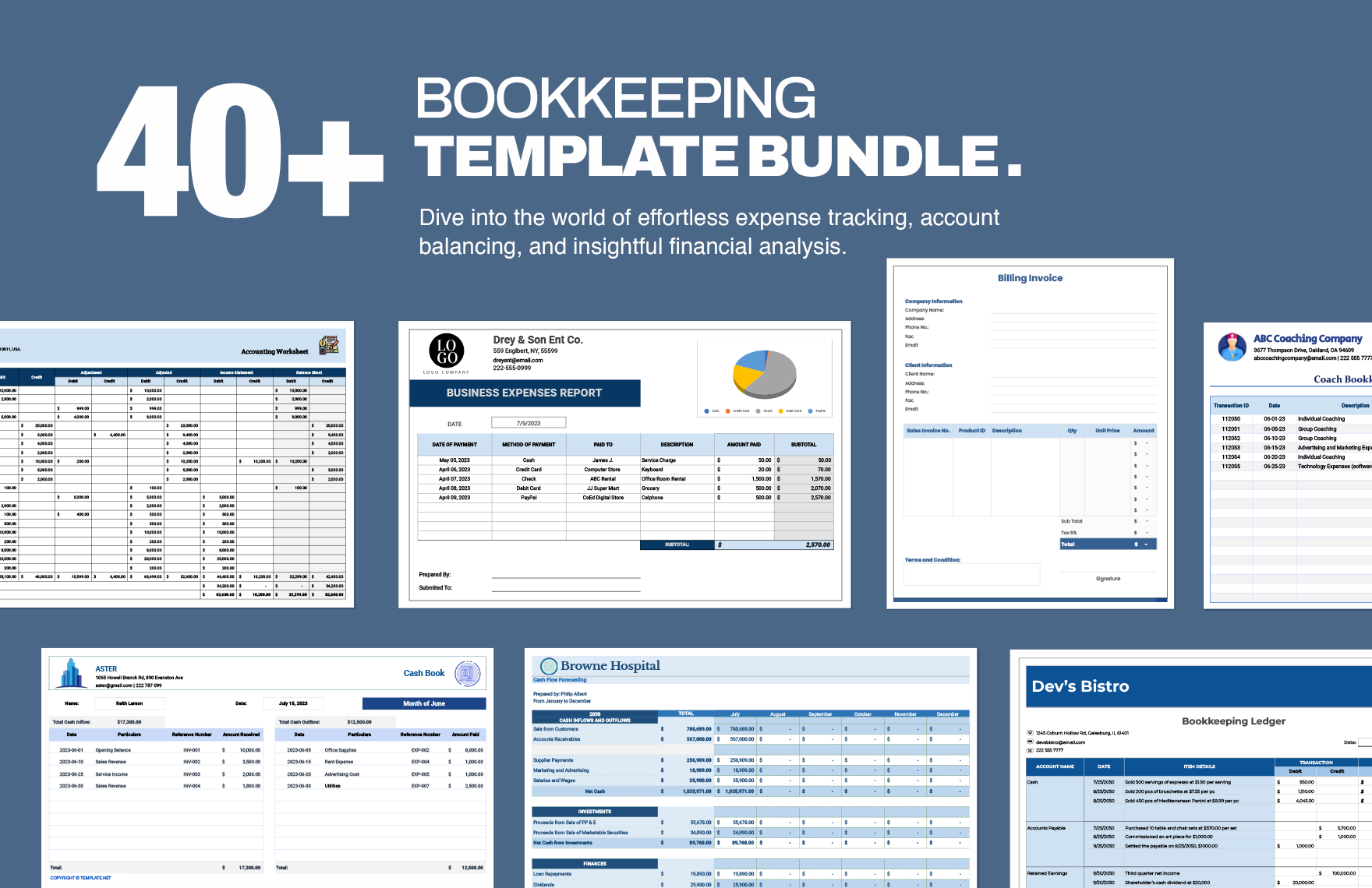 40+ Bookkeeping Template Bundle