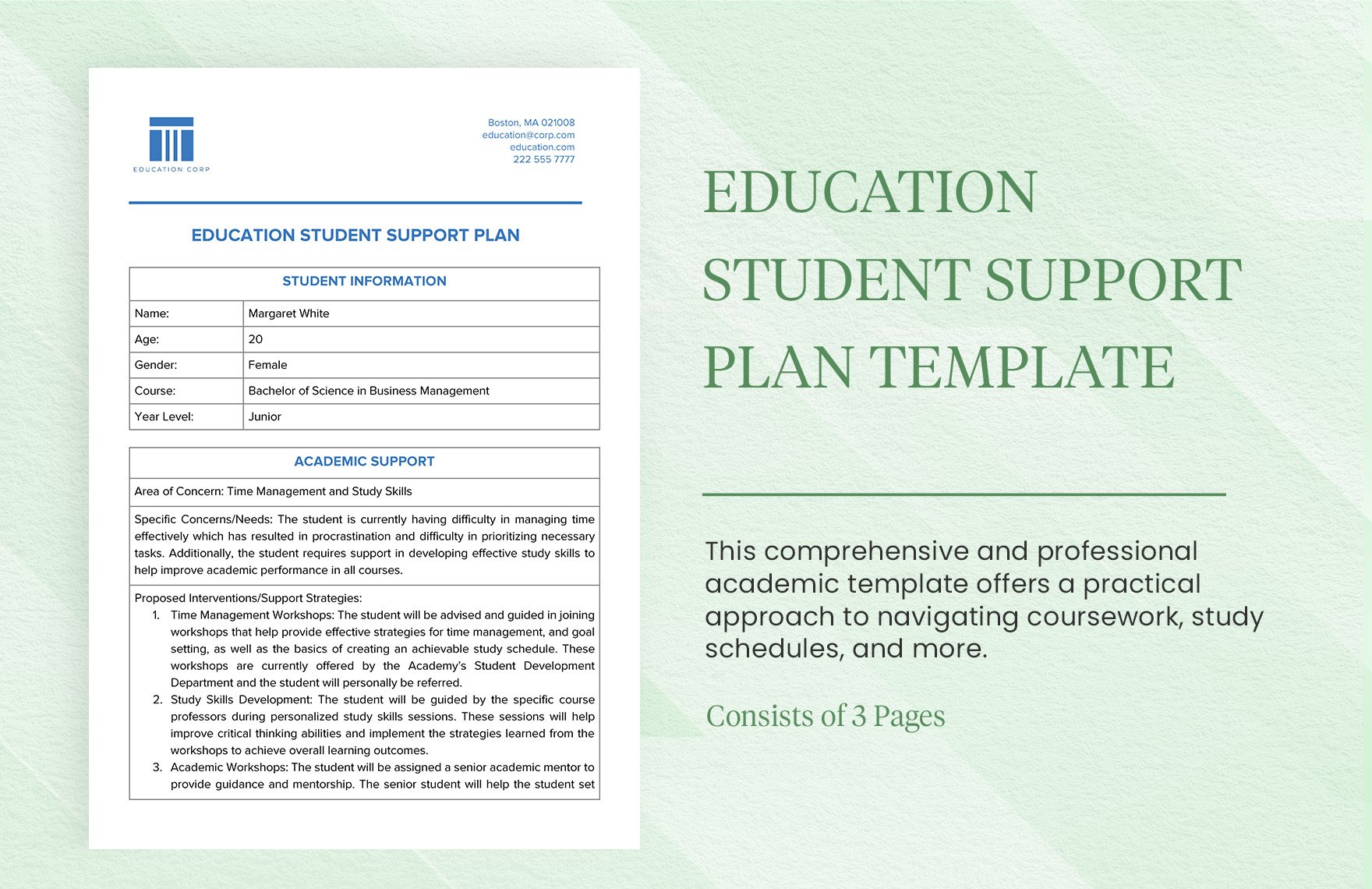 Education Student Support Plan Template in Word, Google Docs, PDF