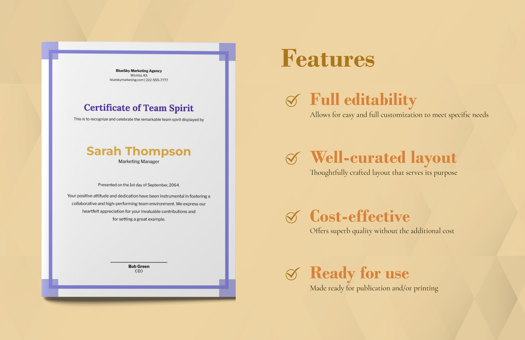 Team Spirit Award Certificate Template