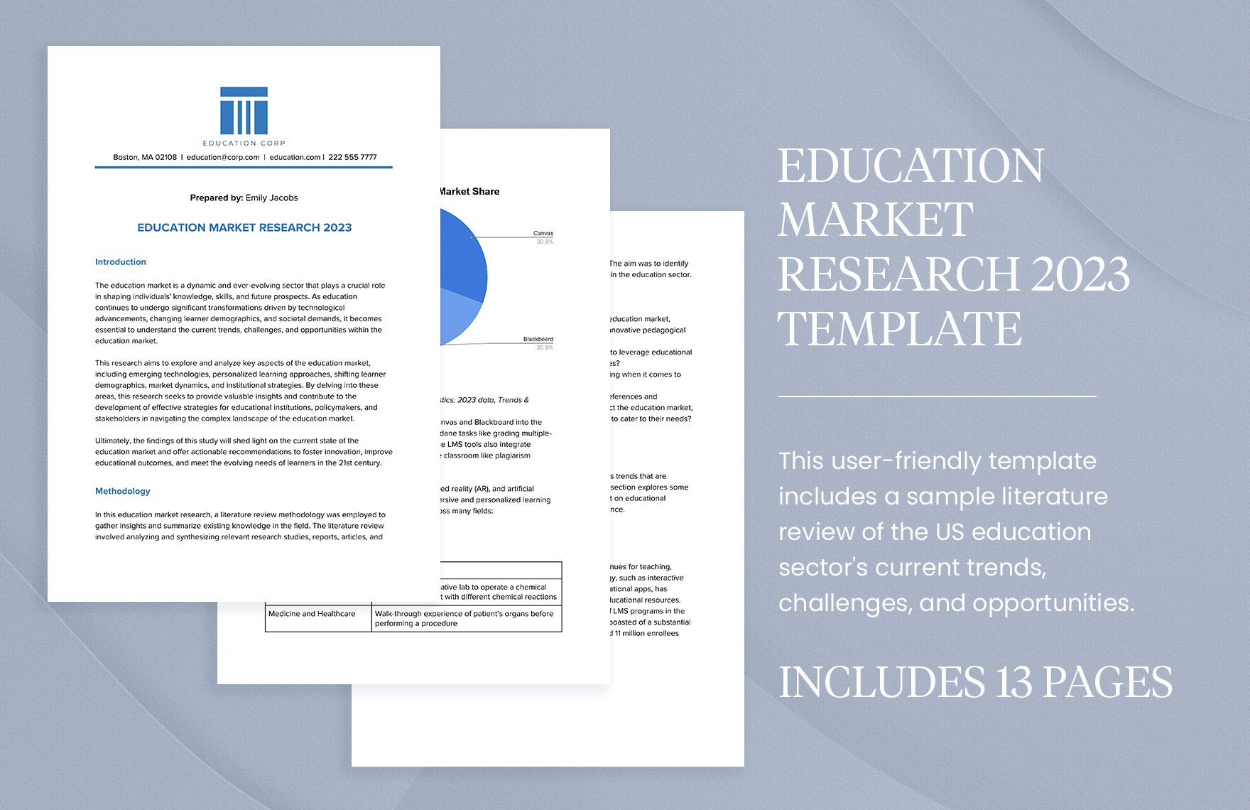 Education Market Research 2023 Template