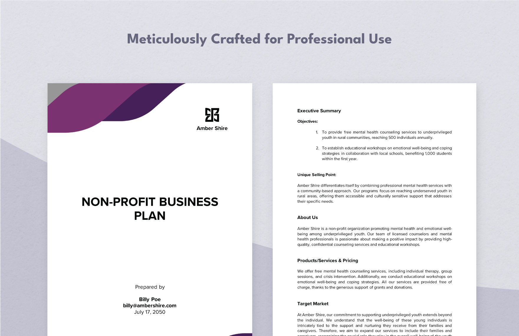 Non Profit Business Plan Template in PDF Word Google Docs Download