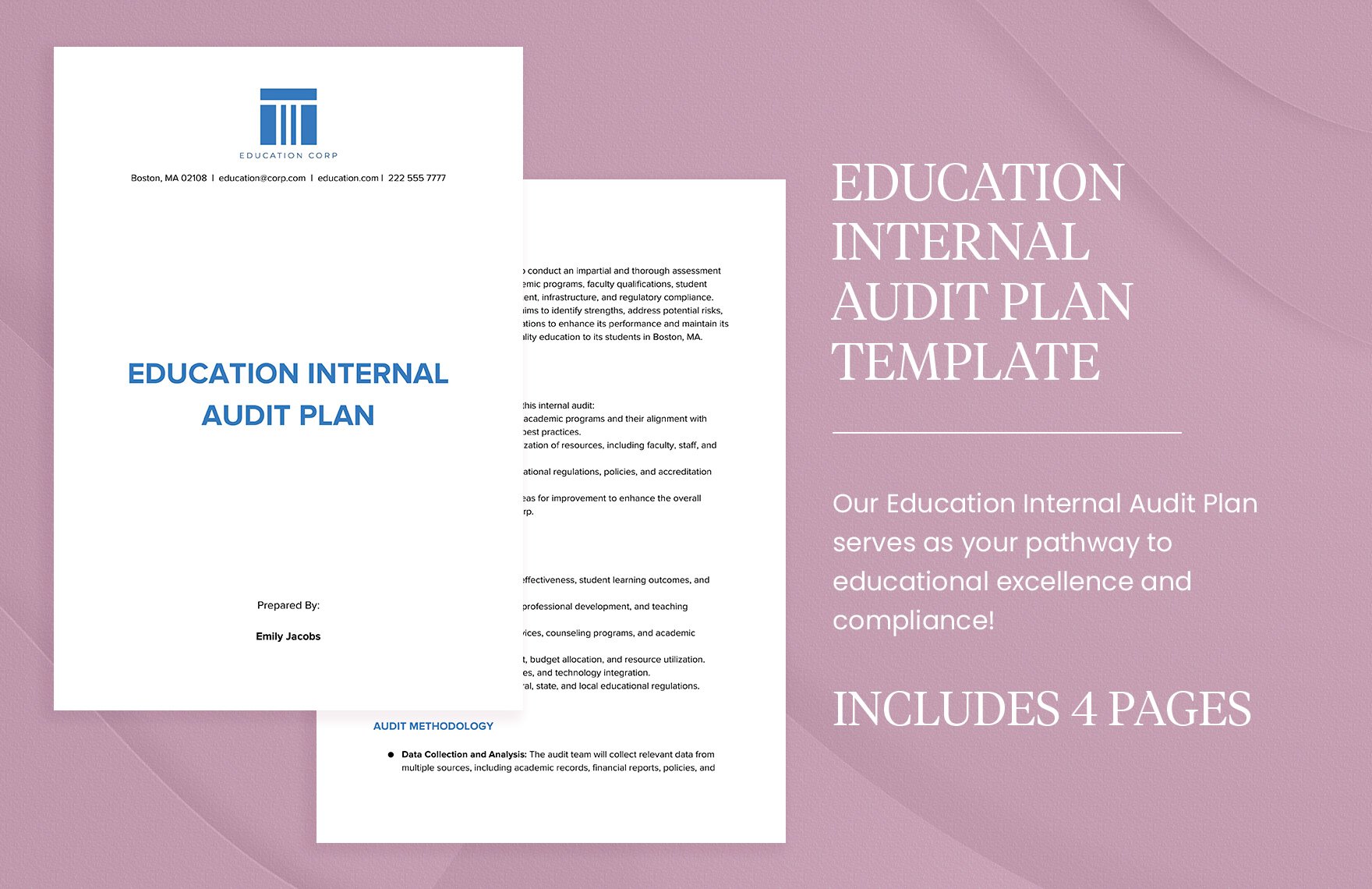 Education Internal Audit Plan Template in Word, Google Docs, PDF