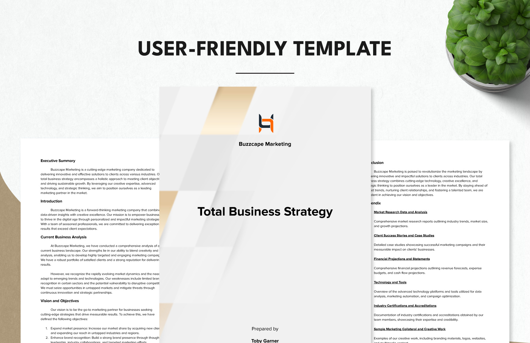 Total Business Strategy Template