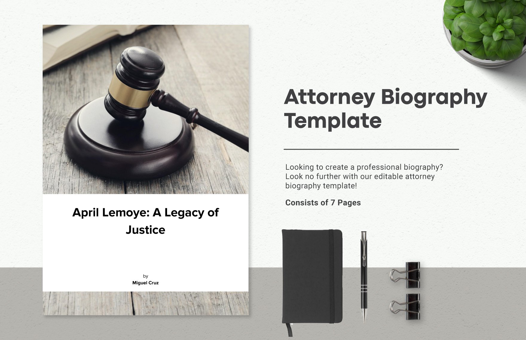 Attorney Biography Template in Word, Google Docs, PDF