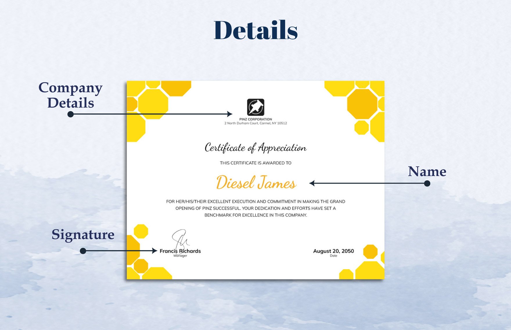 Excellent Execution Certificate Template 