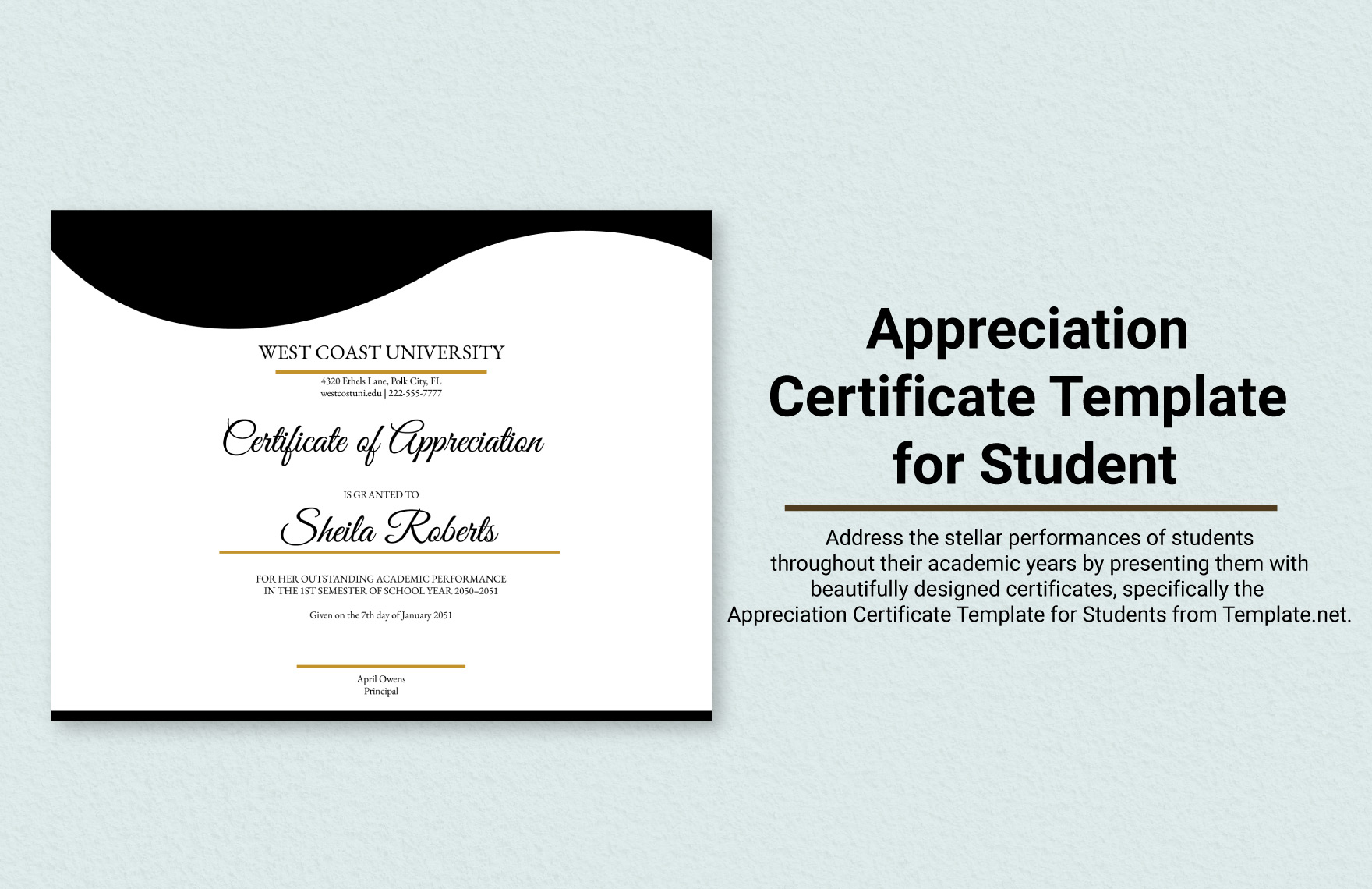 Certificate of Authorship Template - Word, Google Docs, Apple Pages ...