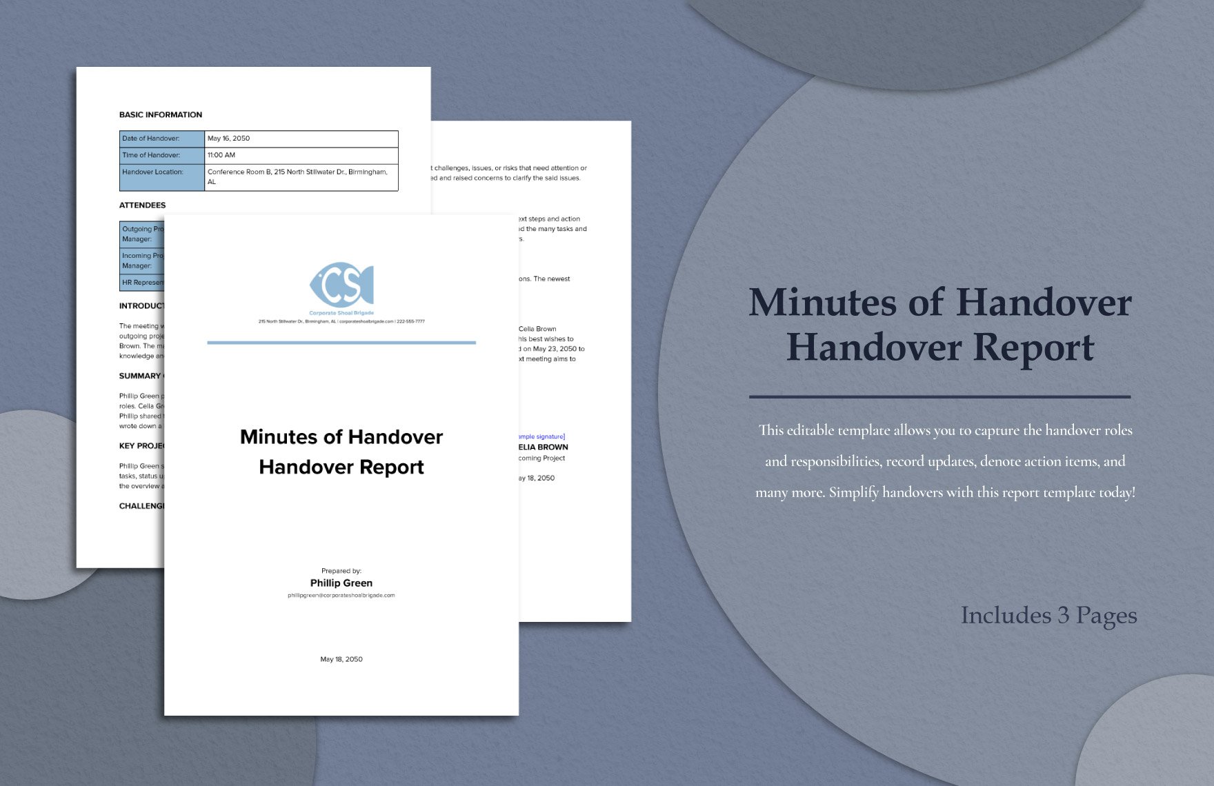 Minutes of Handover Handover Report
