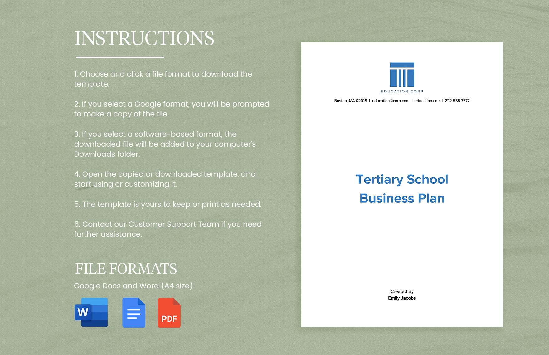 Tertiary School Business Plan Template