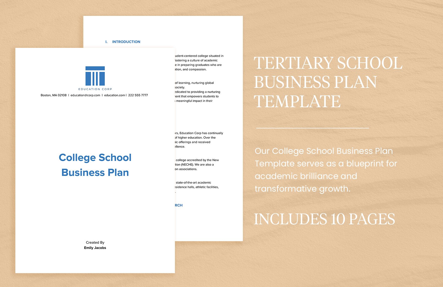 College School Business Plan Template