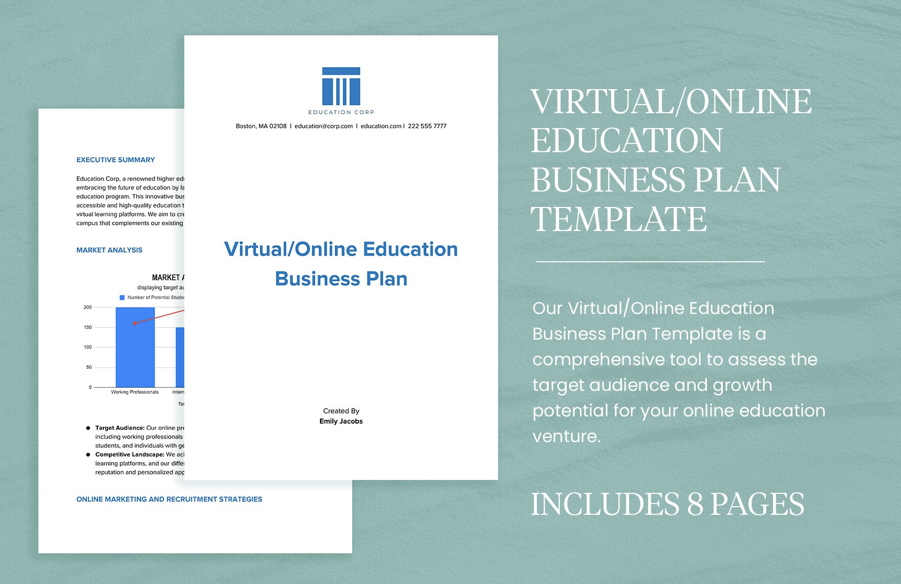 Virtual/Online Education Business Plan Template in Word, Google Docs, PDF