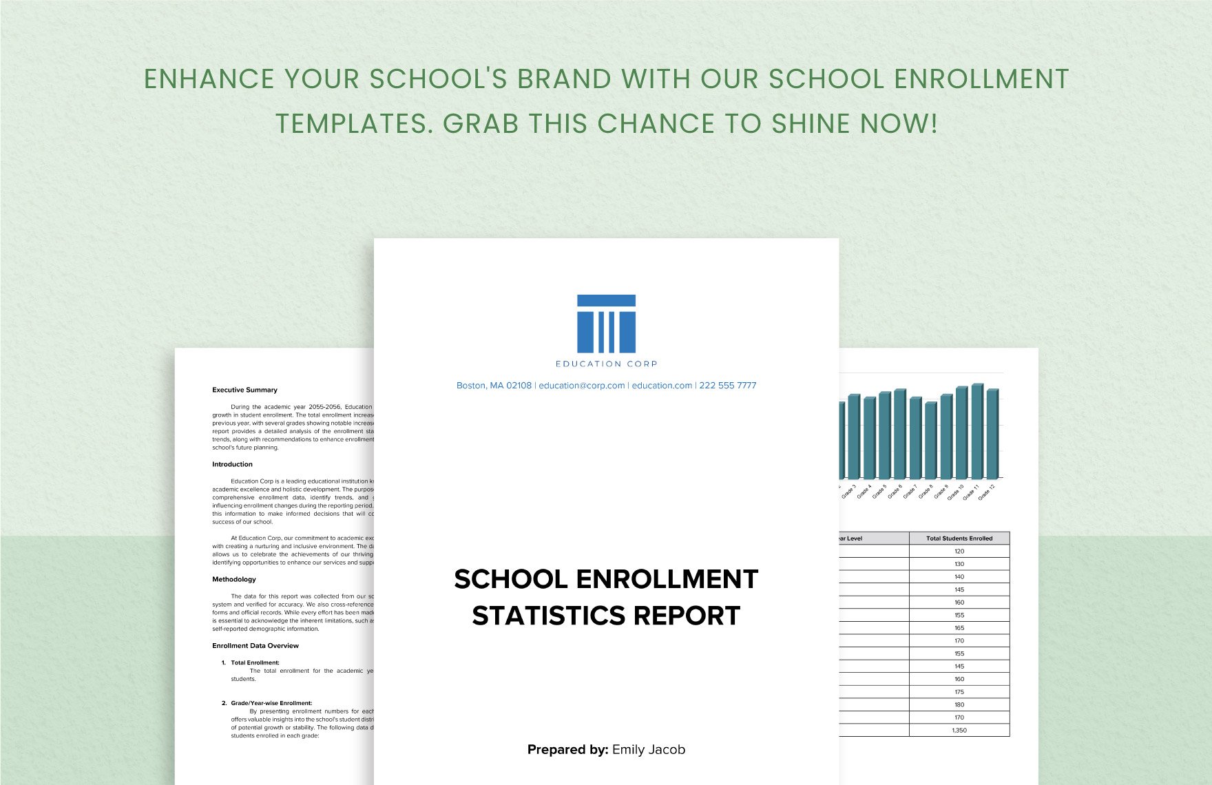 School Enrollment Statistics Report Template