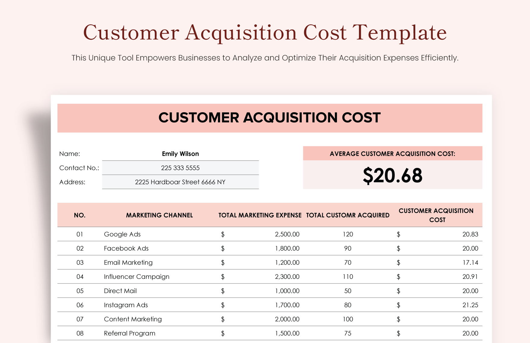 Customer Acquisition Cost Template