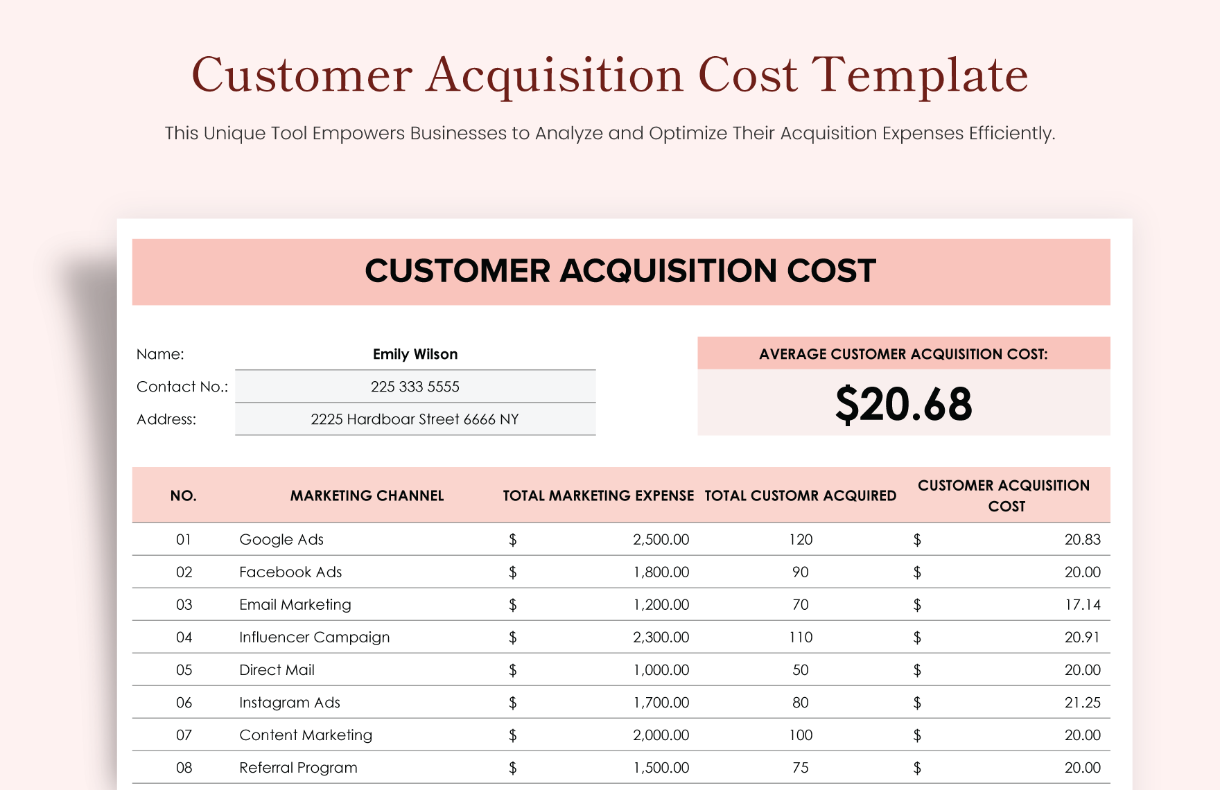 Customer Acquisition Cost Template in Excel, Google Sheets - Download | Template.net