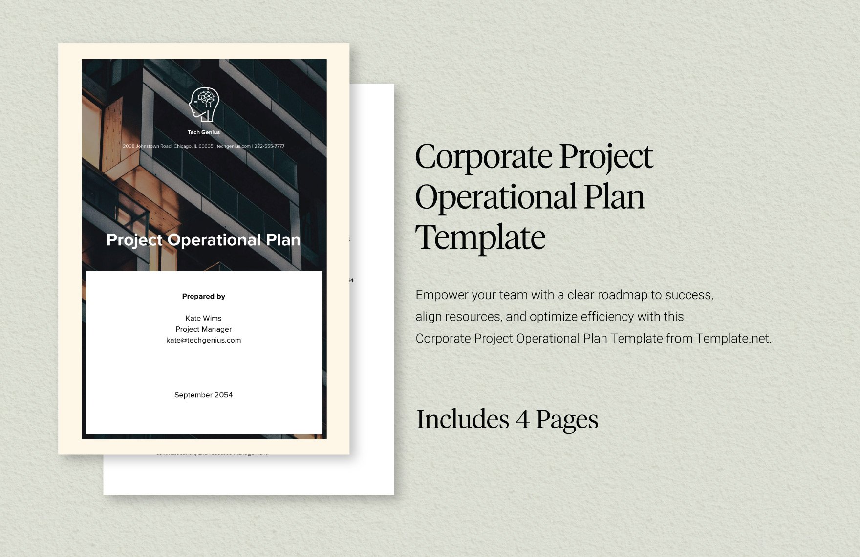Corporate Project Operational Plan Template