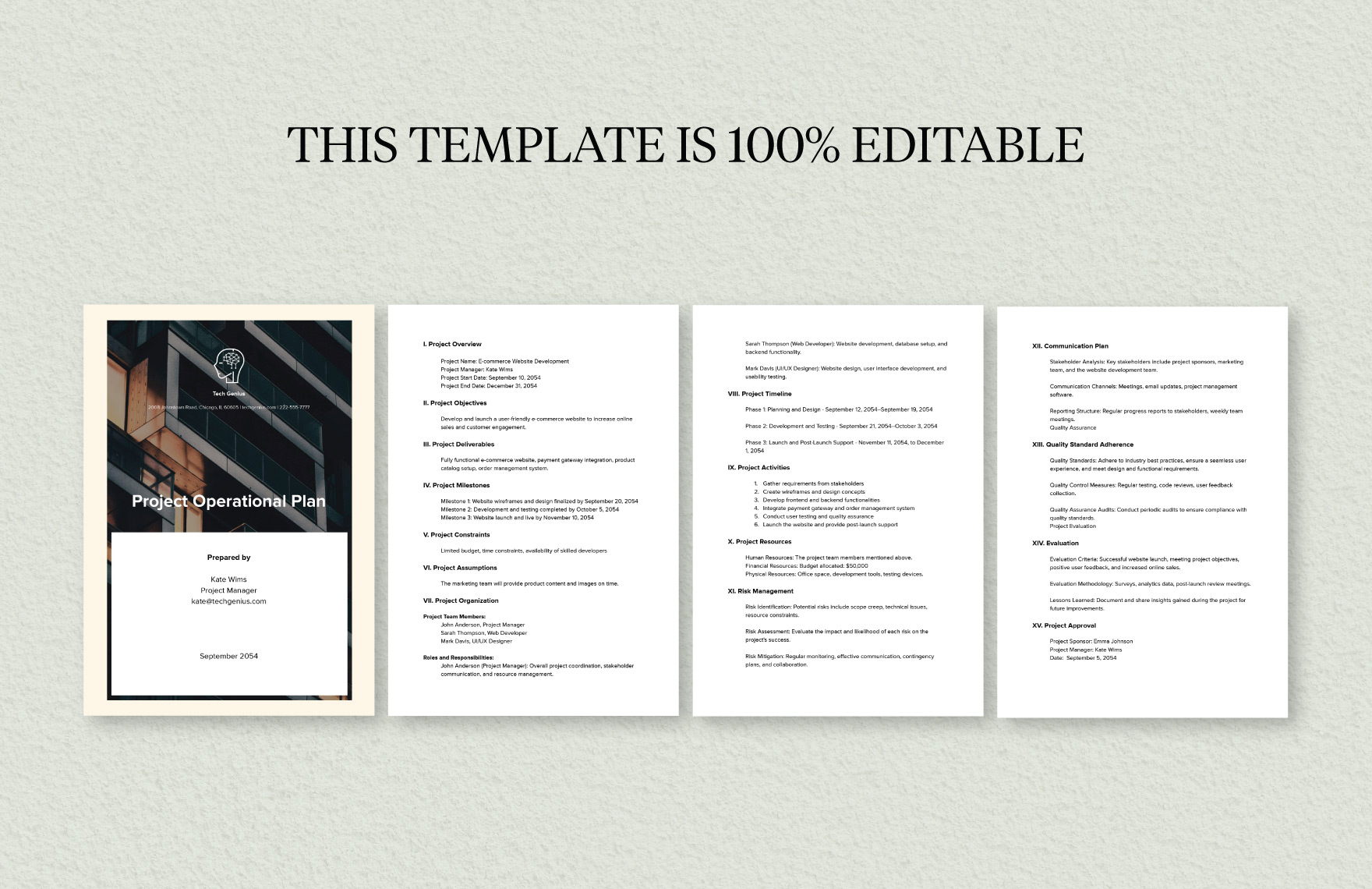 Corporate Project Operational Plan Template
