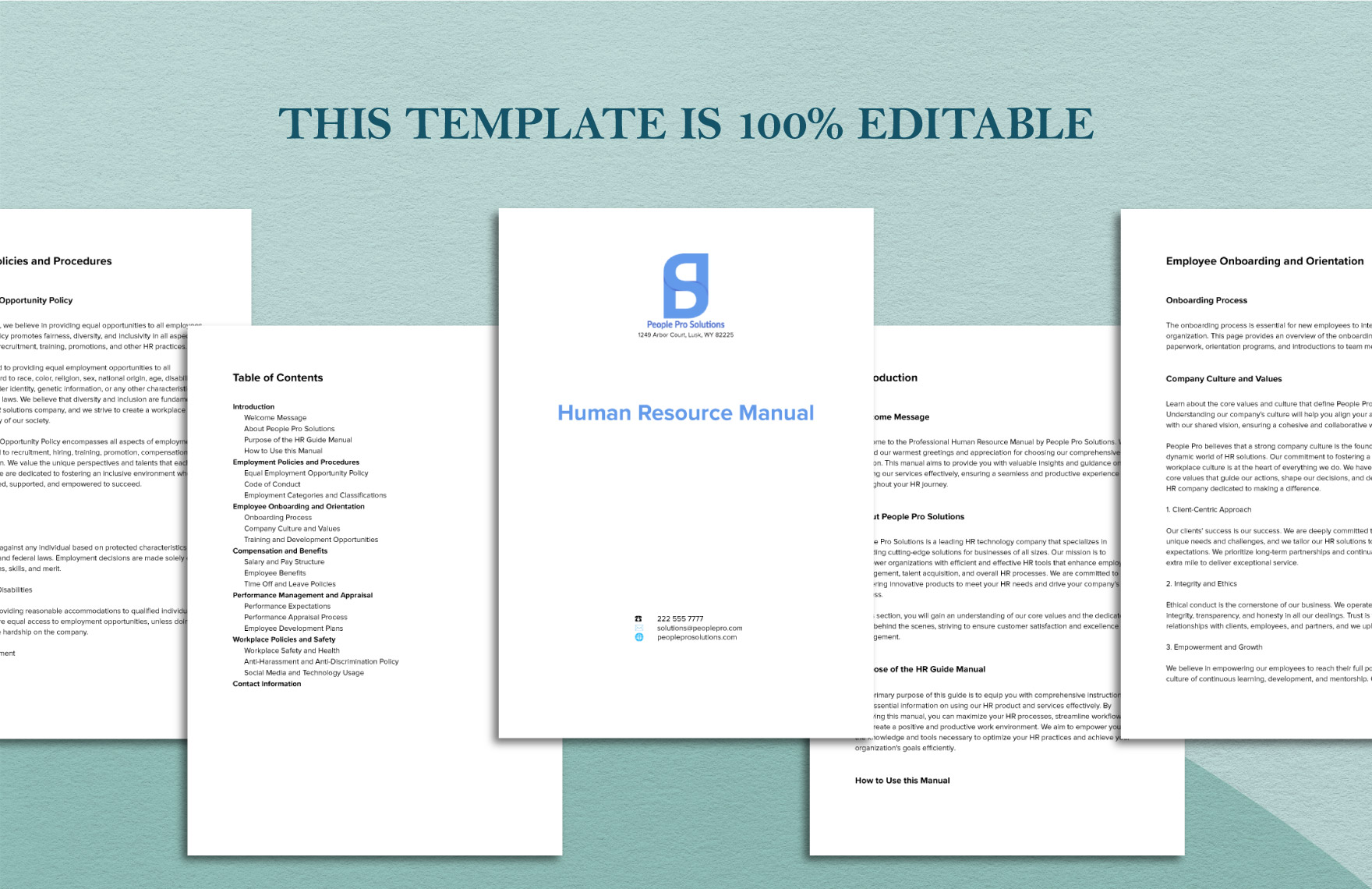 Professional Human Resource Manual Template