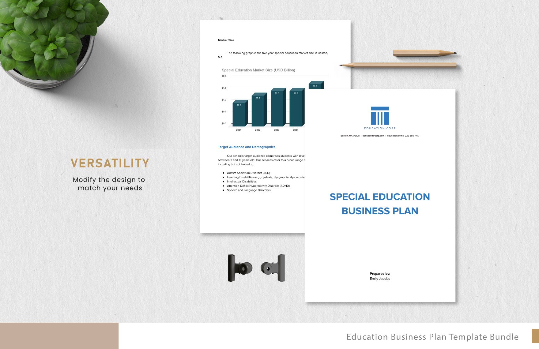 5+ Education Business Plan Template Bundle