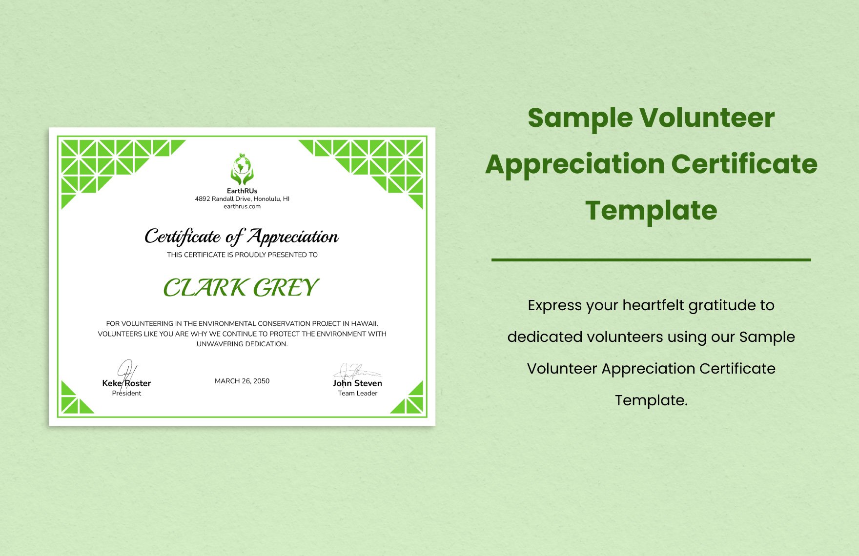 Sample Volunteer Appreciation Certificate Template