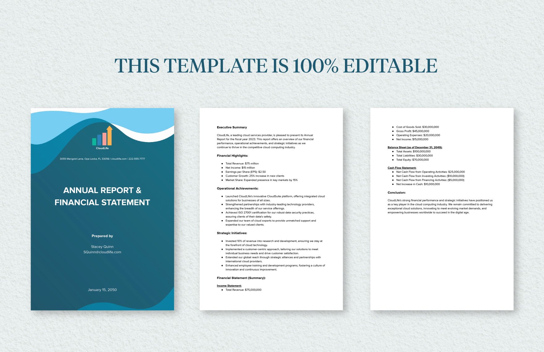 Annual Report Financial Statement Template
