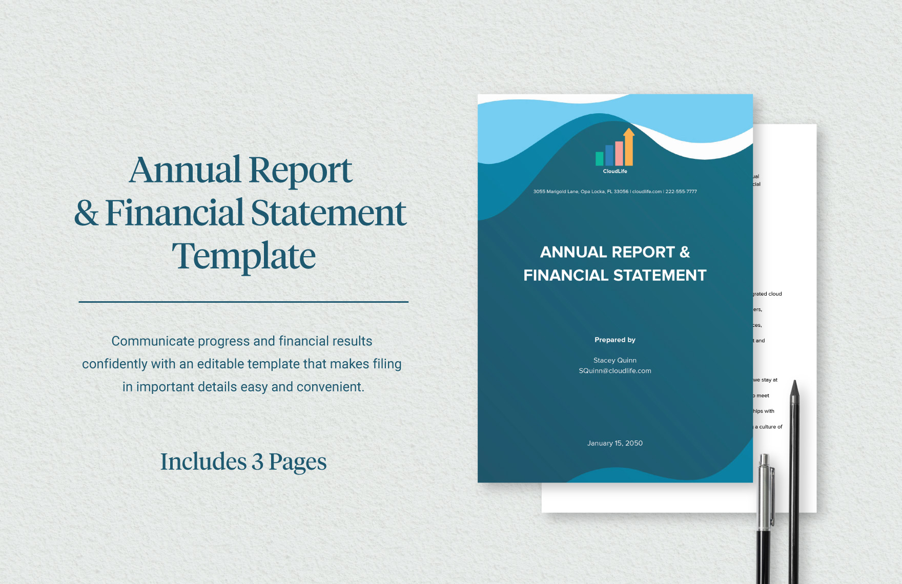 Annual Report Financial Statement Template In Word PDF Google Docs 