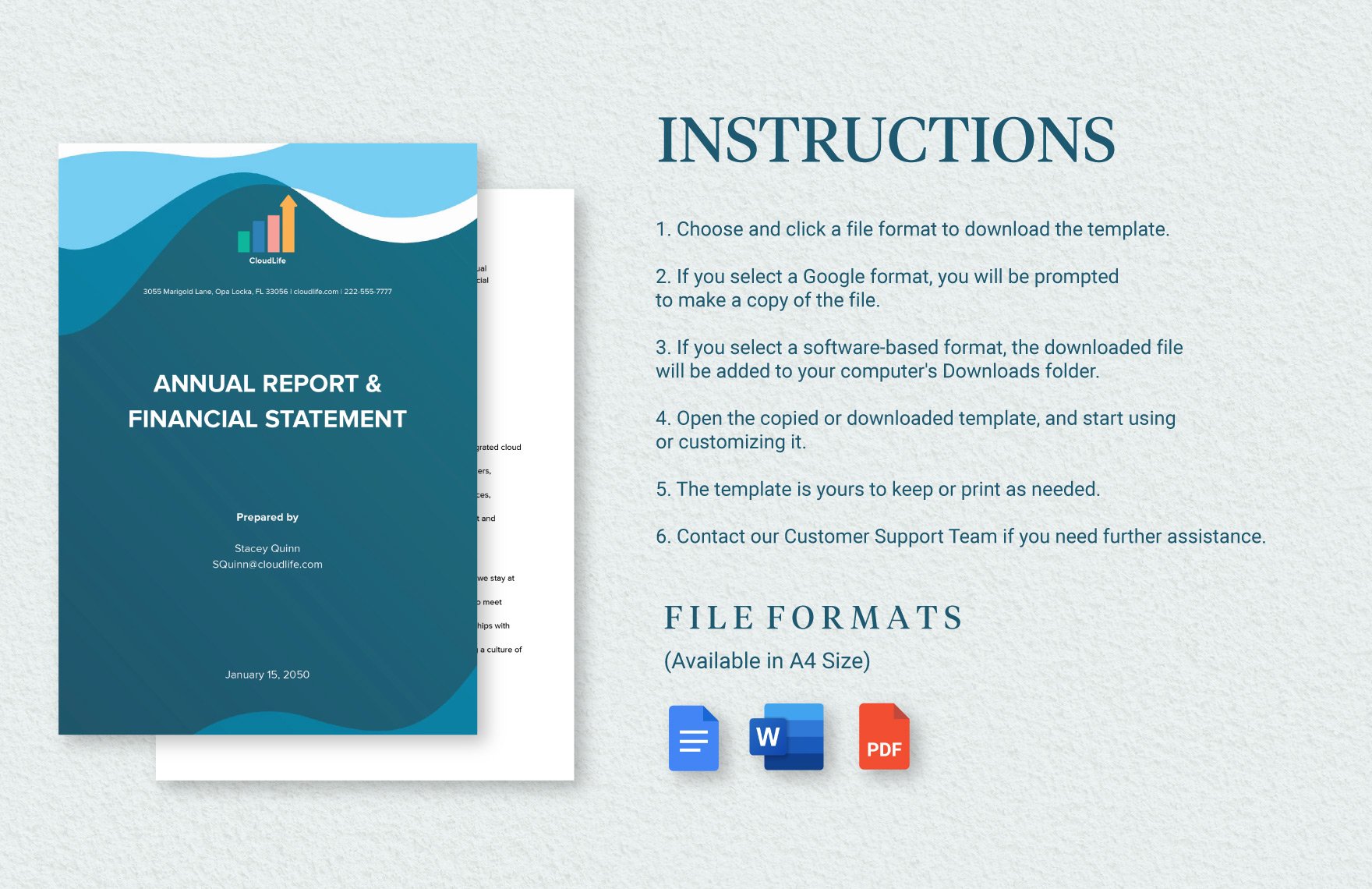 Annual Report & Financial Statement Template