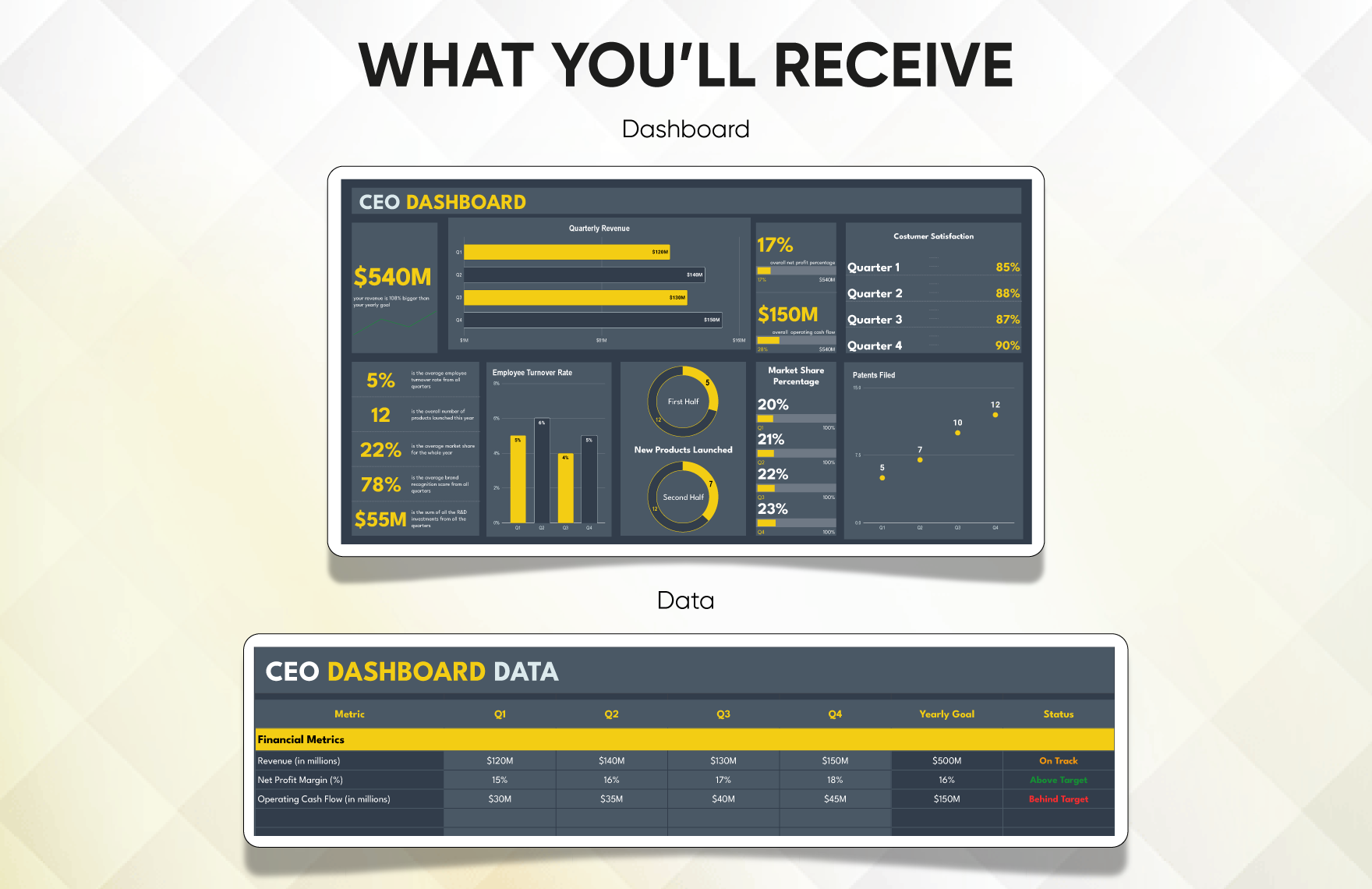 CEO Dashboard Template