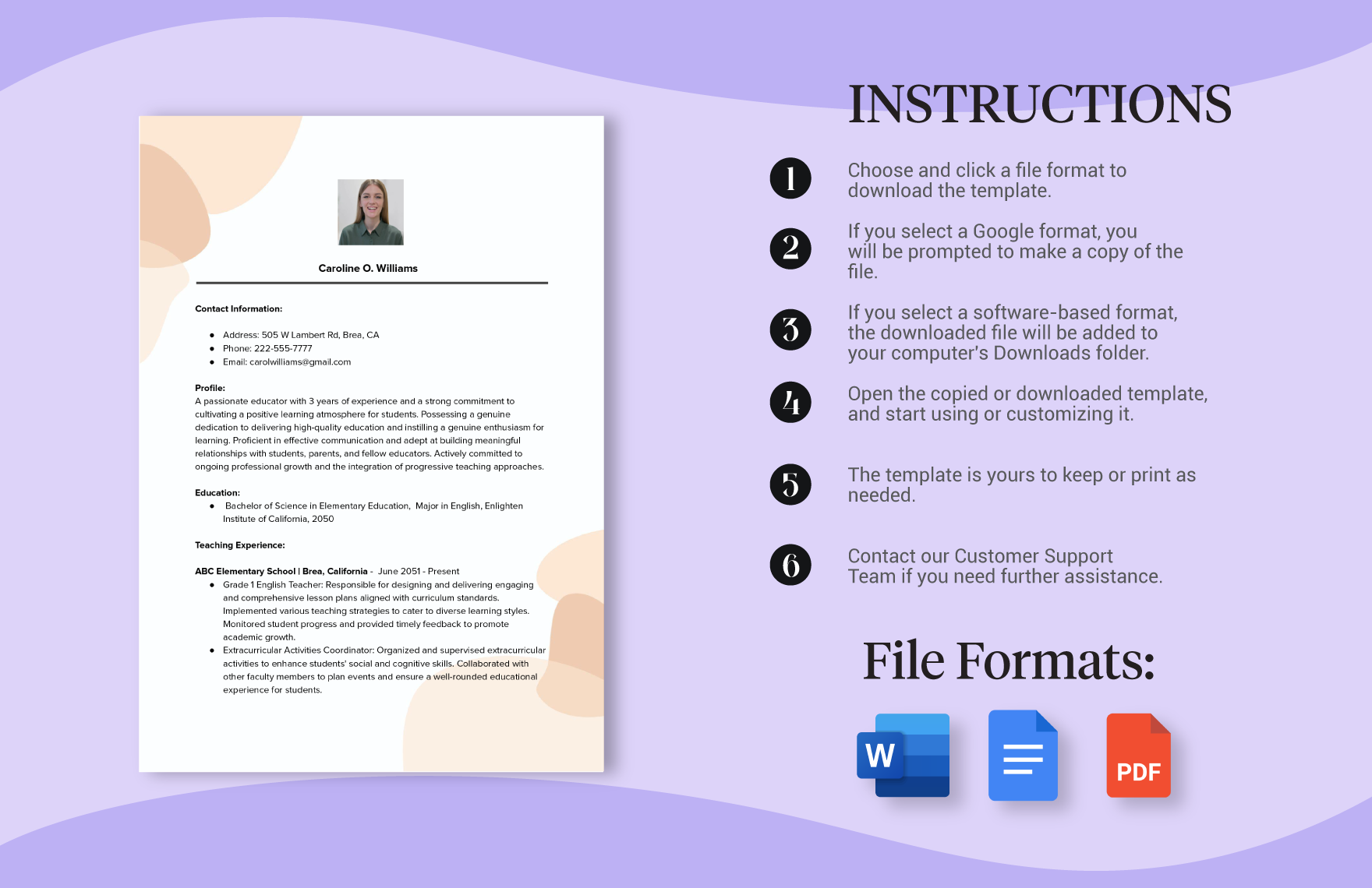 Printable Teacher CV Example Template