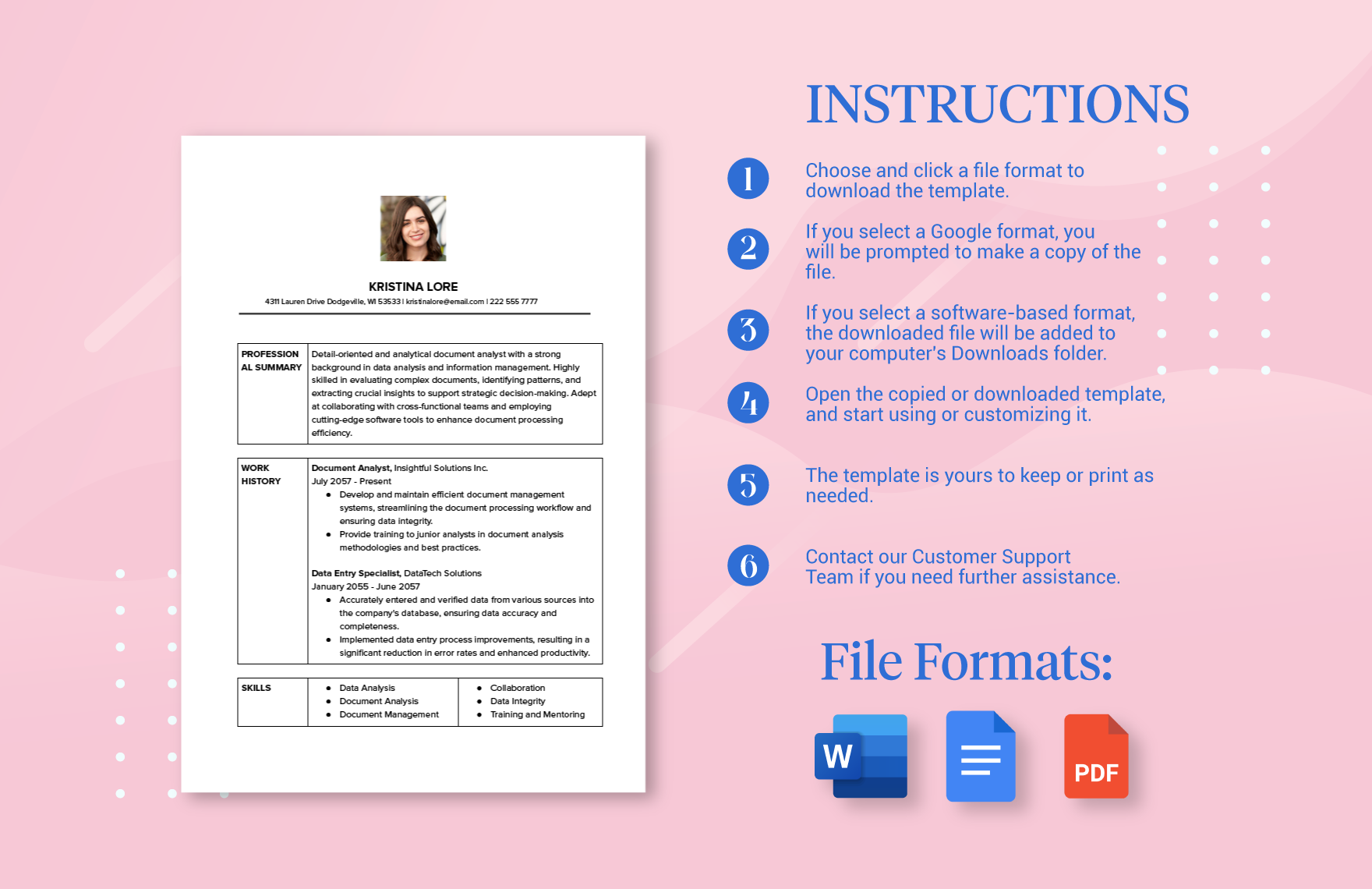 Sample Document Analyst Resume Template