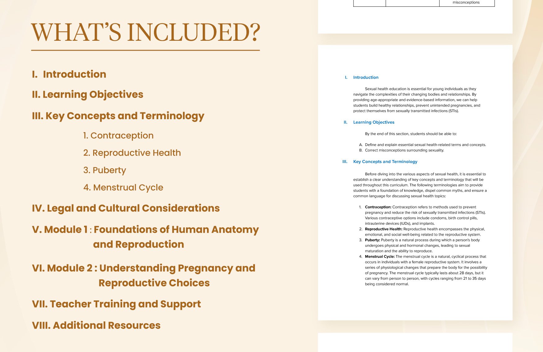 Sexual Health Education Curriculum Guide Template