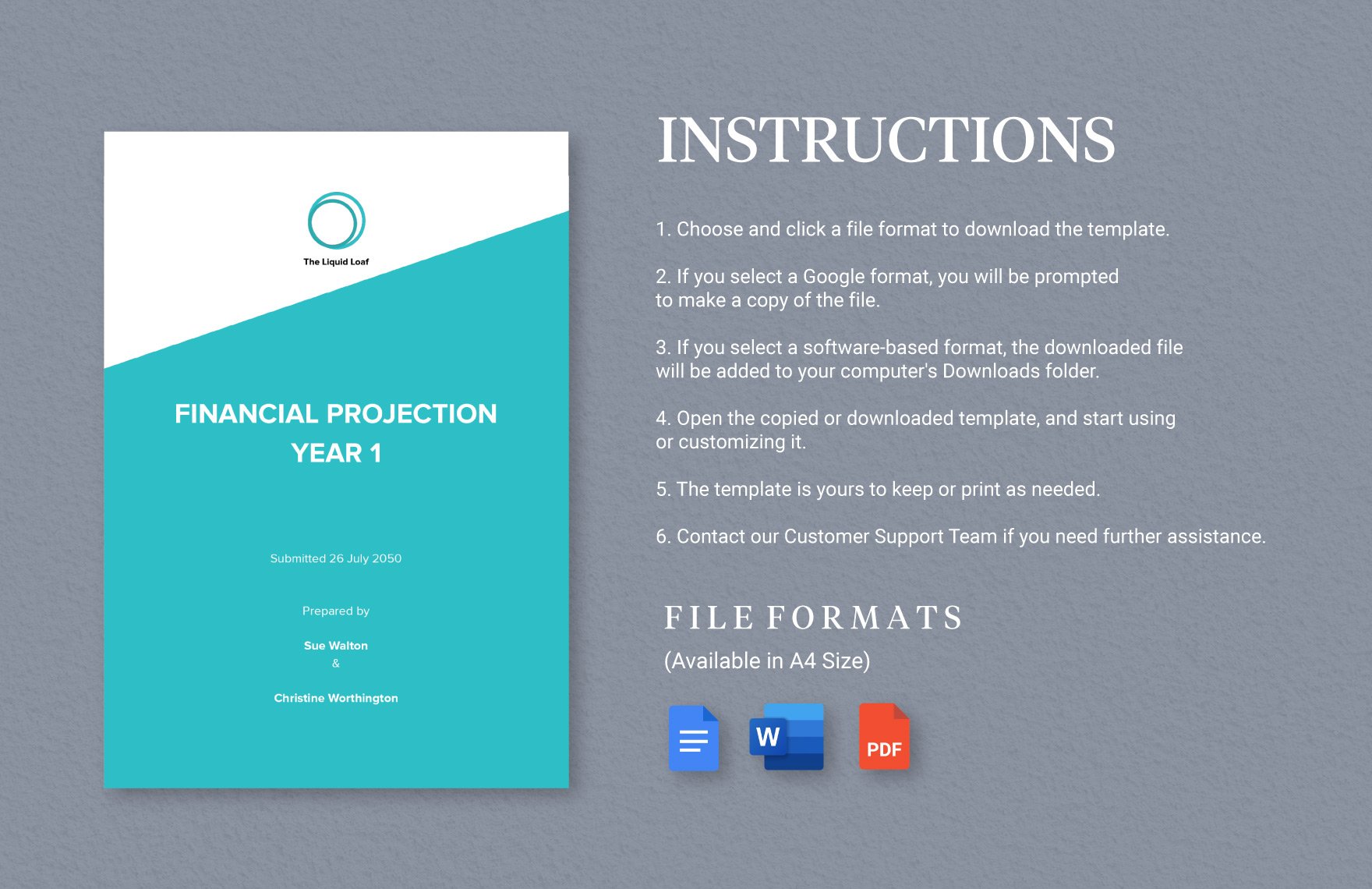 Financial Projections Small Business Plan Template