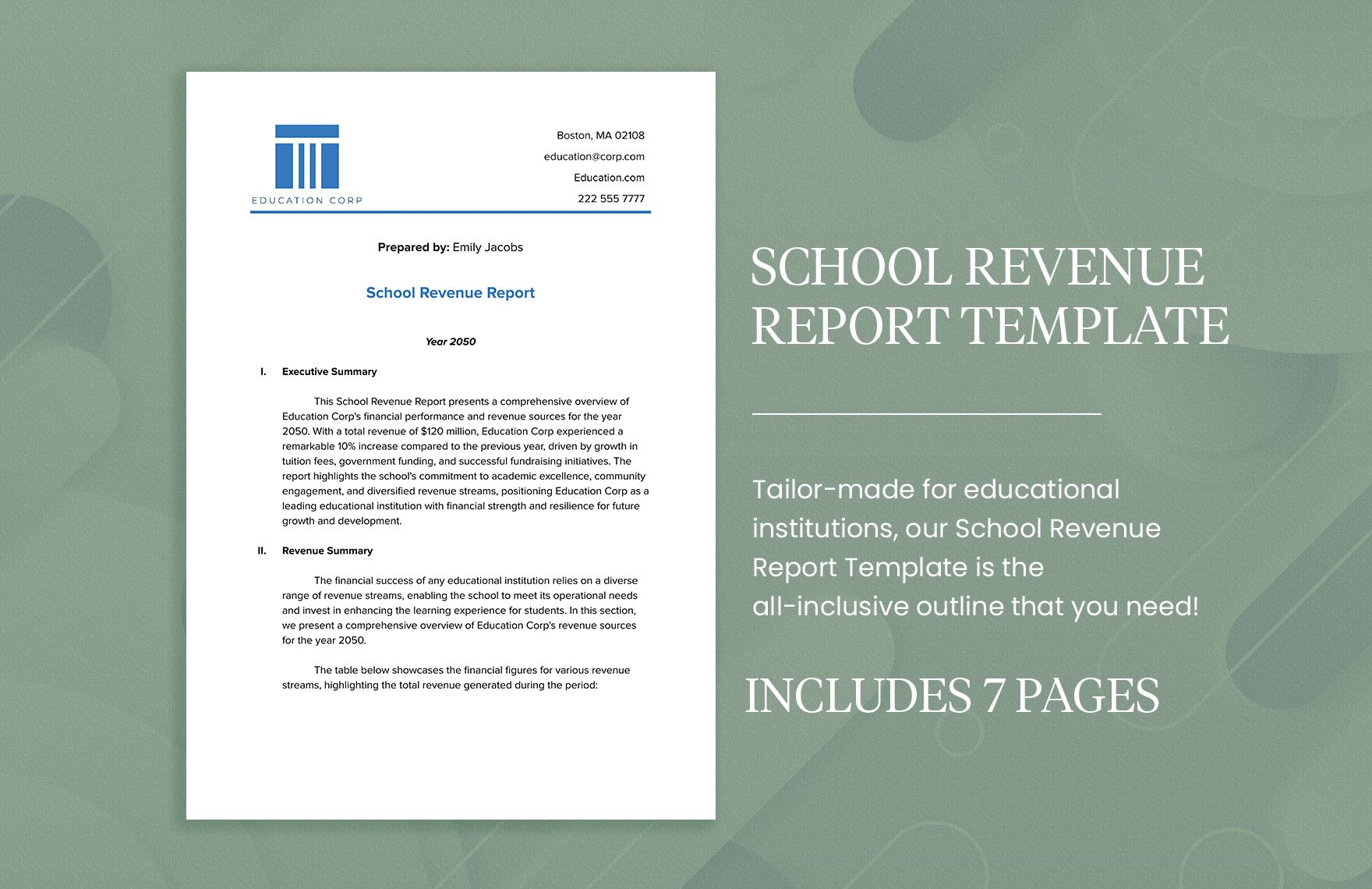 School Revenue Report Template