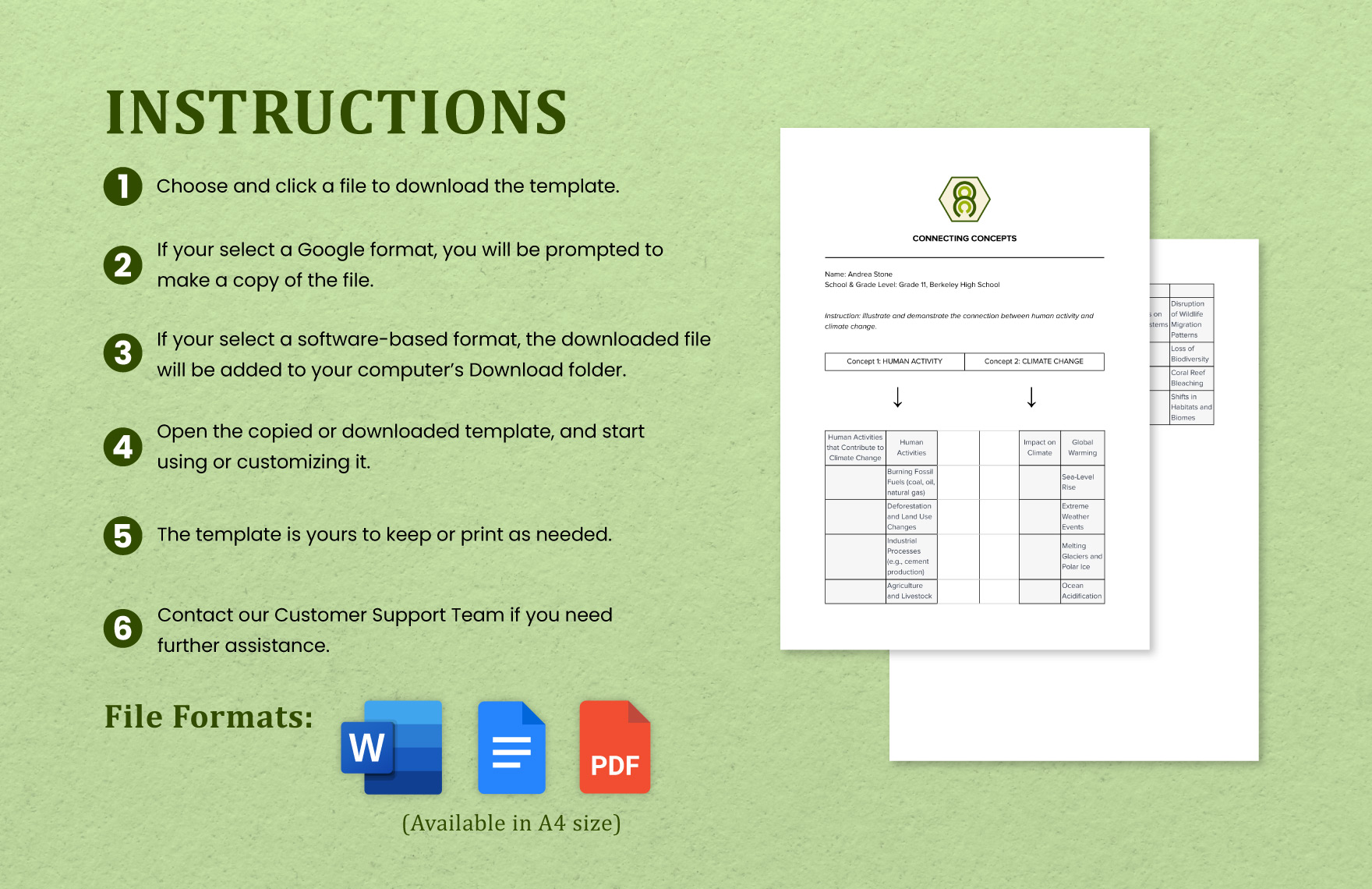 Graphic Organizer Blank Table