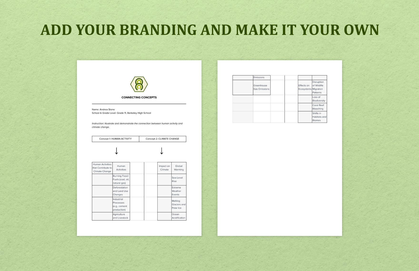 Graphic Organizer Blank Table