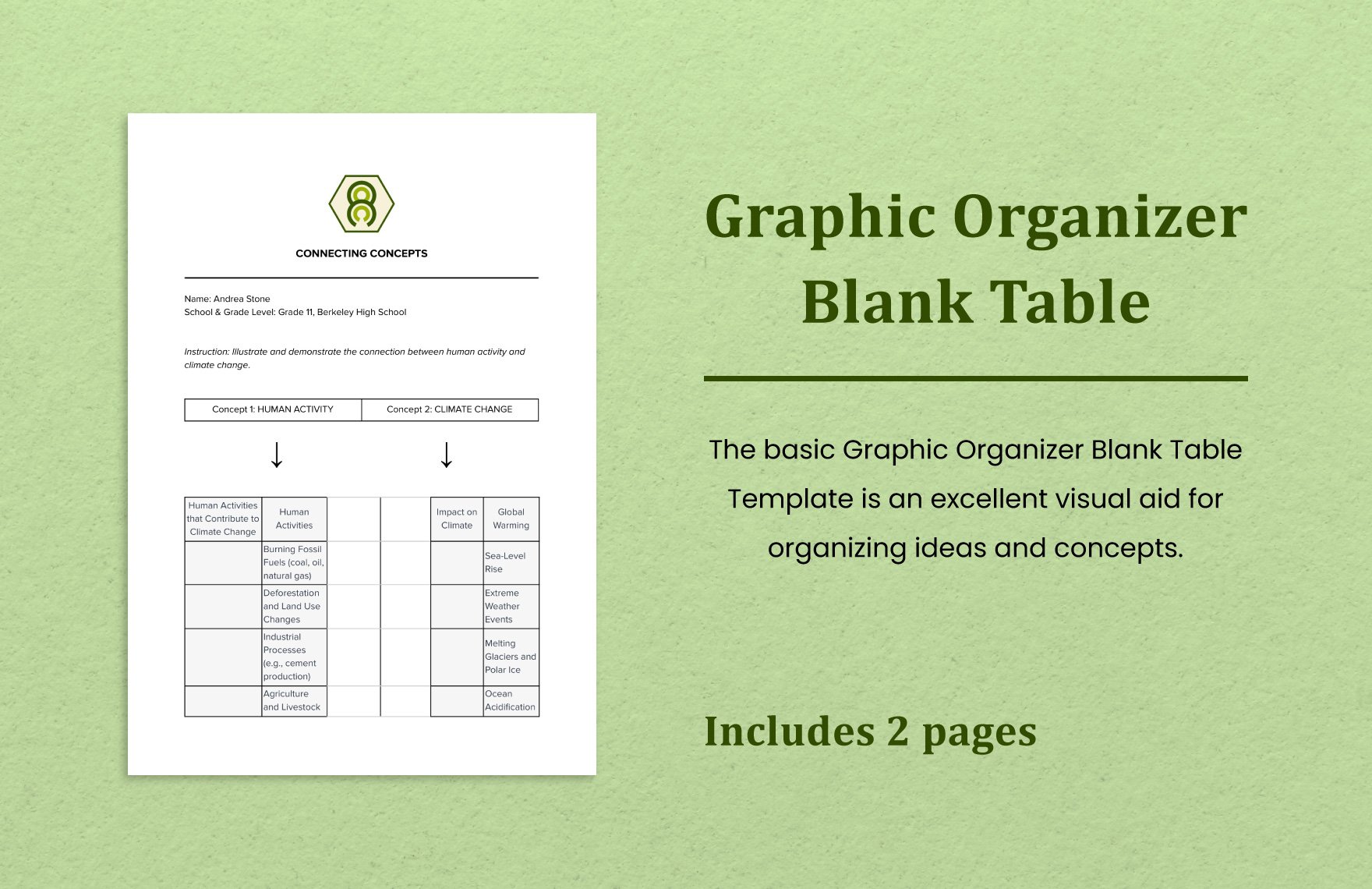 Graphic Organizer Blank Table